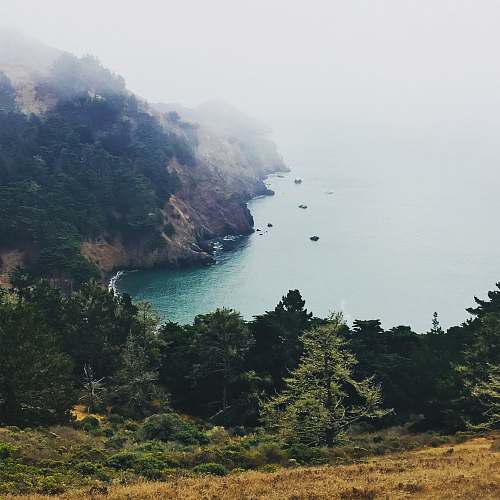 ocean forest overlooking body of water sea